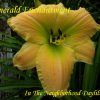 Emerald Enchantment (Salter, 1990)