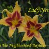 Lady Neva (Alexander & Moody 1970)