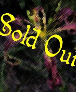 Courting Trouble (Salter, 2002)